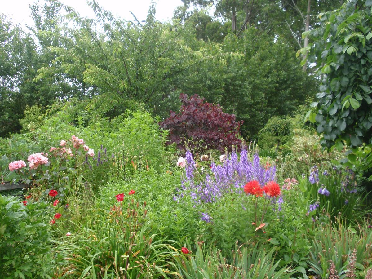 Folster Gardens Bed And Breakfast Invercargill Exterior foto